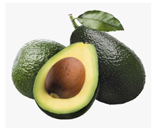 Avocado